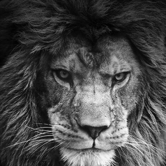 Meet your Posher, Mike - Picture 1 of 1